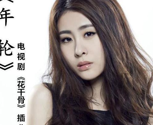 国外看国内视频如何解除地区限制教程